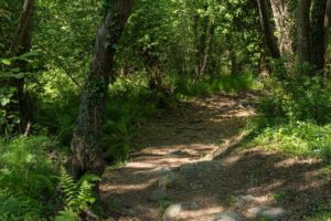 Difficulté et sécurité pour profiter de la piscine naturelle de Bucatoghju